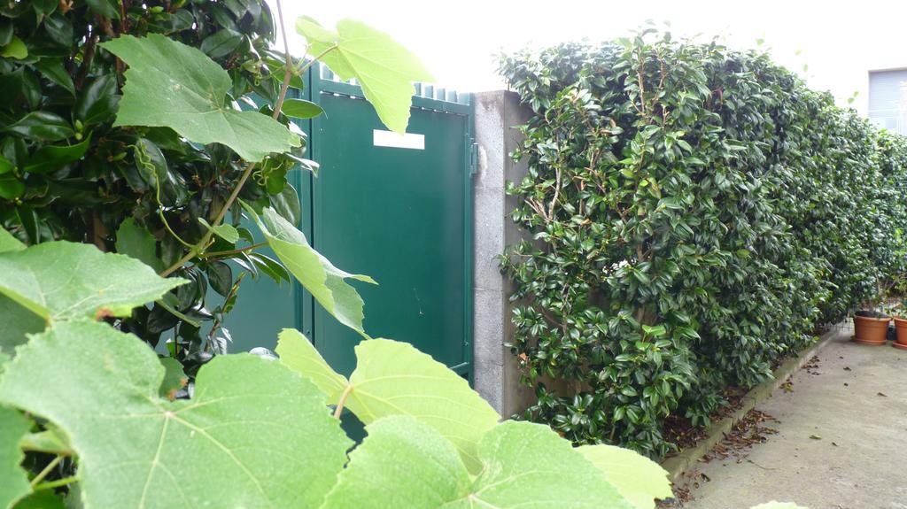 Azores Holidays House -B&B - Suites - Self Check-In Keyboard Ponta Delgada  Exterior photo